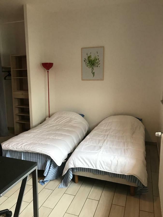 Les Studines Appartement Roanne Buitenkant foto